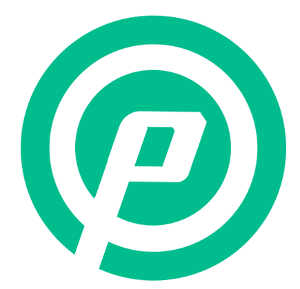 Payona logo